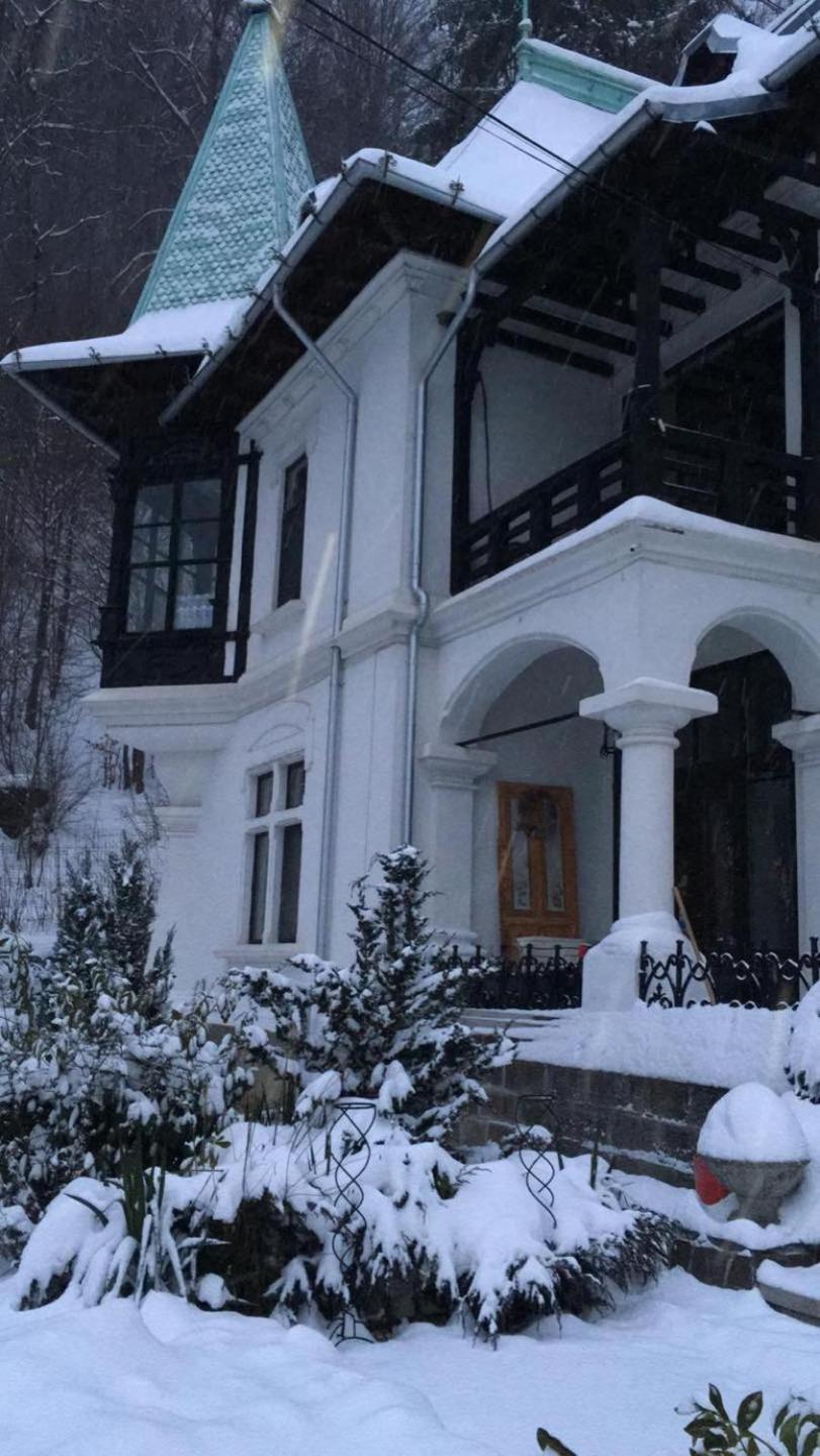 Il Piccolo Castello Szászbuda Kültér fotó