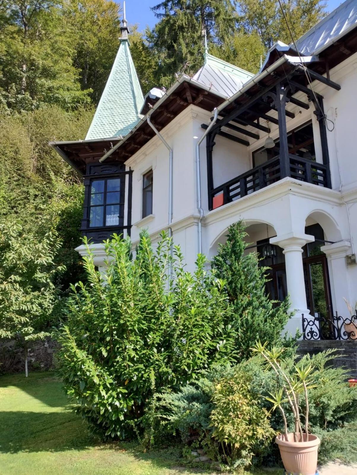 Il Piccolo Castello Szászbuda Kültér fotó
