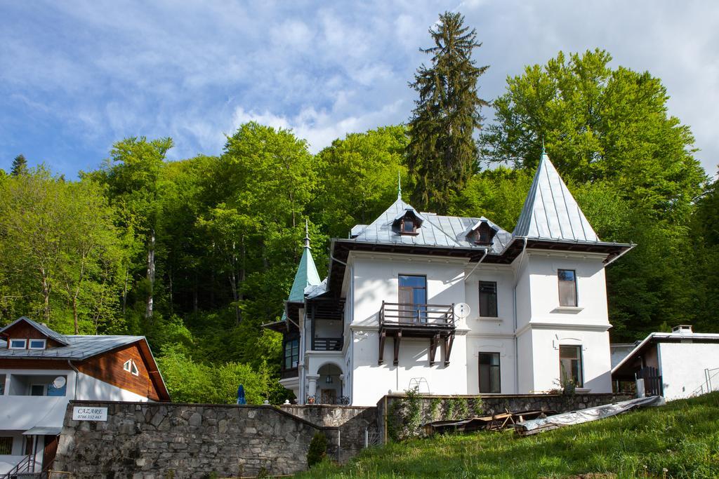Il Piccolo Castello Szászbuda Kültér fotó